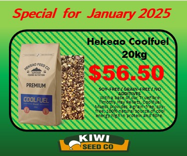 January 2025 Hekeao coolfuel