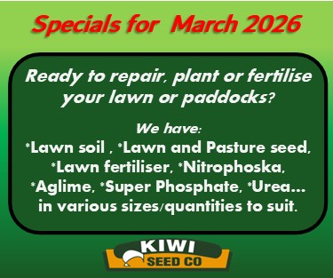 March 2026 website