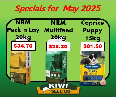 May_Specials_2025.jpg