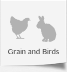 Grain & Birds