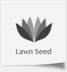 Lawn Seed