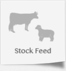 Stock Feed