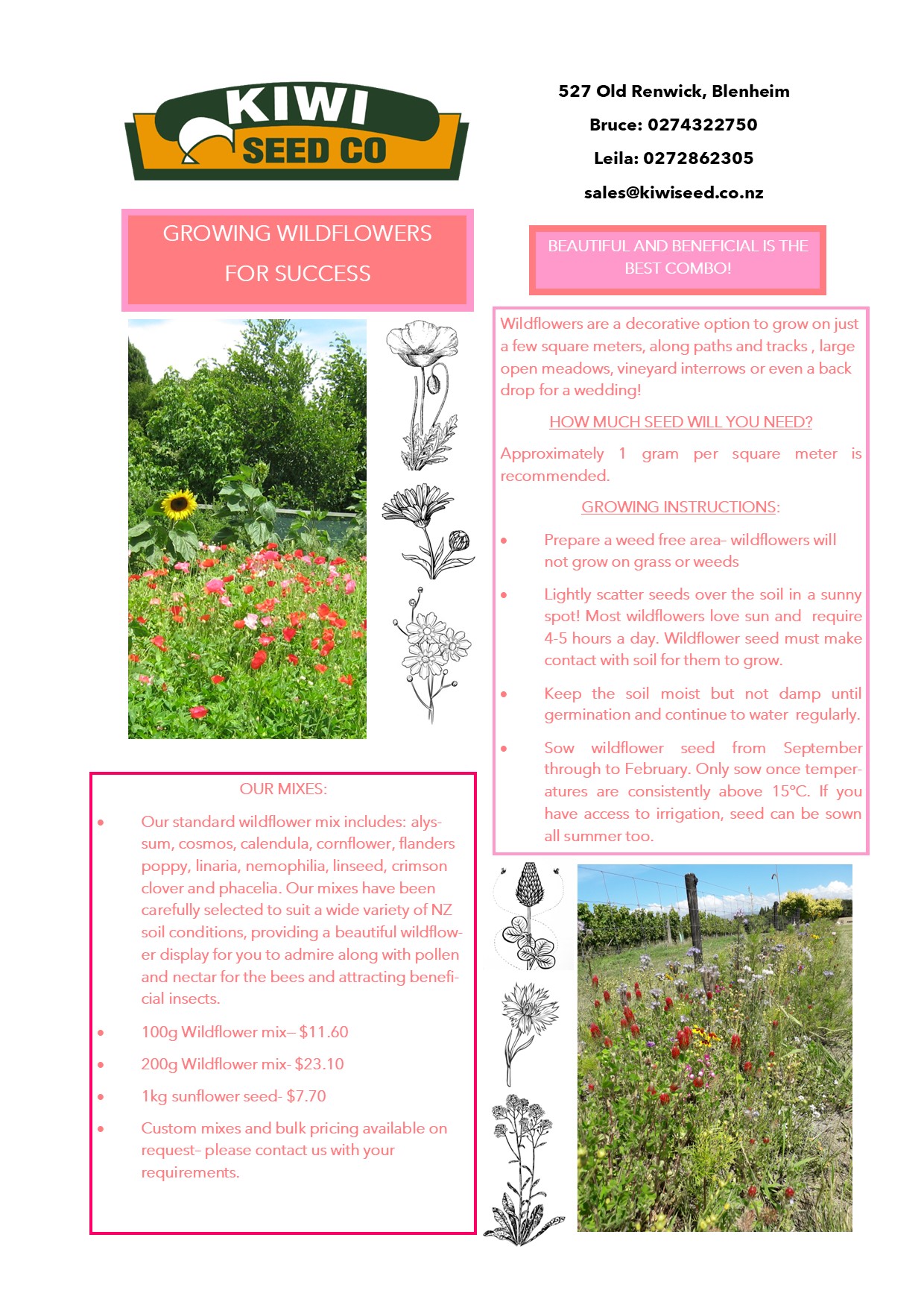 Wildflowers Newsletter